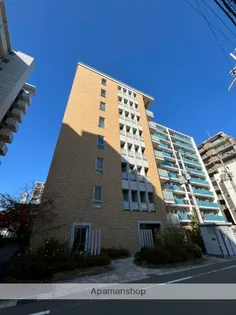 マロン ド ヴィラの画像