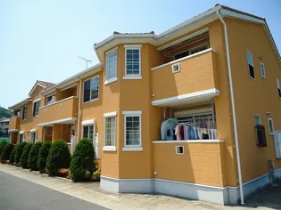 クール ヴィヴァーチェBの画像