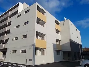 フィレール デュ トラジャIIIの画像