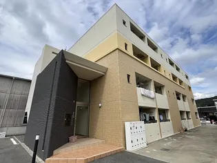 フィレール デュ トラジャVIIの画像