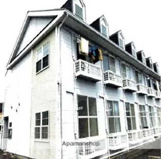 プラム書写の画像