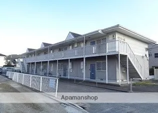 AMBER PEARLの画像