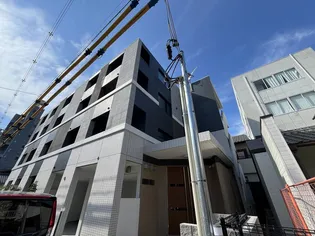 ミステルの画像