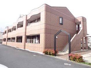 パラシオヴィノティントの画像