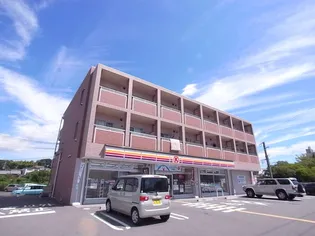フェリス【305号室】の外観