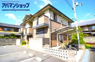 カクタスフローラBの画像