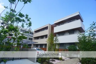 SHAMAISON LEA LANIの画像