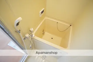 浦島ハイツ【2階】の風呂