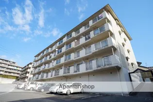 タラ生駒Ⅰの画像