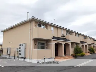 アムールAの画像