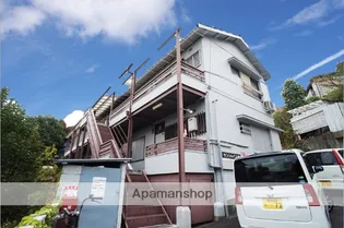 サンシャインVIIIの画像