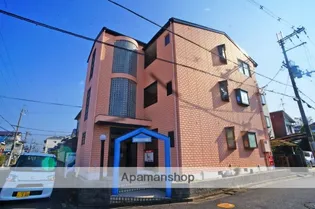 ブロッサム真菅の画像