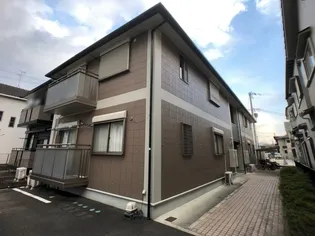 カメリアの画像