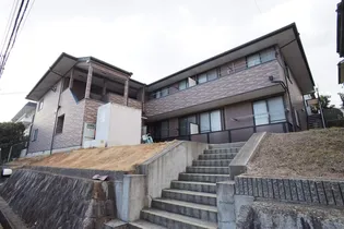 アンプルールブア竜田川の画像