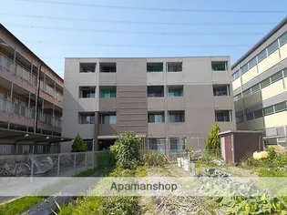 エルシェの画像