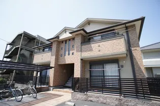 セラヴィの画像