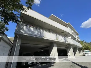 欅コートの画像