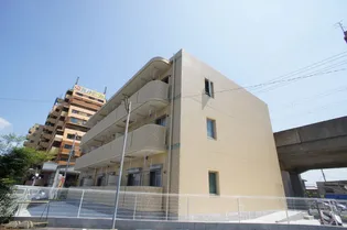 H T ミニョン2の画像