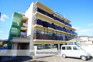 コスモス物語の画像