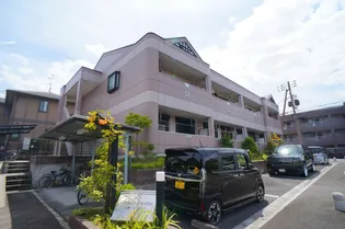 カサファミリアの画像