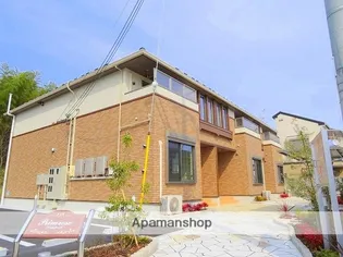 プリムローズの画像