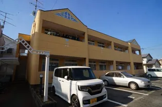 サンフィットラブリーの画像