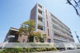 プチサンクの画像