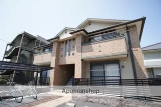 セラヴィの画像