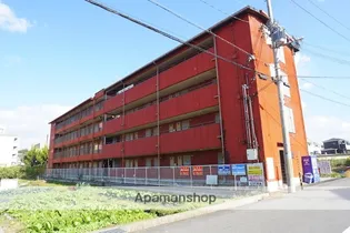 ジュネス新大宮【4階】の外観