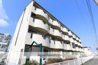 PADDYFIELD21の画像