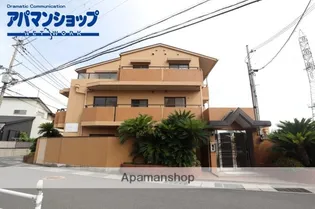 コートコスモの画像