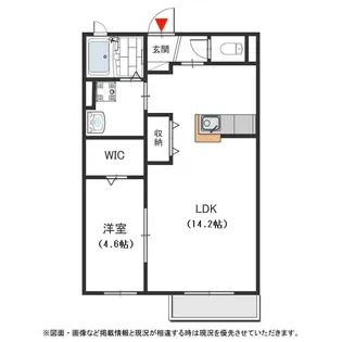 レーブプランドール【205号室号室】の間取り