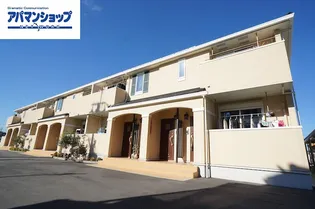 アムールAの画像