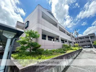 カサファミリアの画像