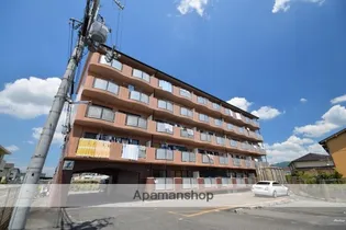 DMカルチャーの画像