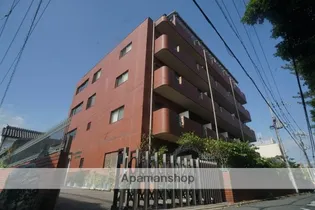 LA RIVIERE OKAMOTOの画像