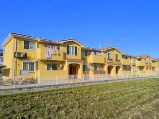 エム フィオーレの画像