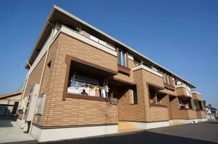 アムールBの画像