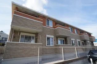 カルム アンの画像