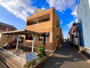 ノーブルコートNの画像