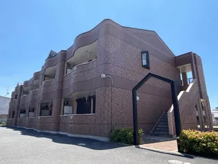 パラシオヴィノティントの画像