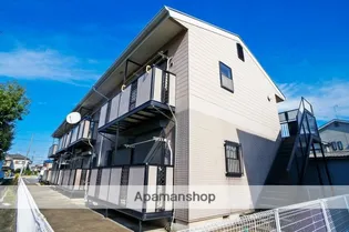 コスモミレニアムの画像