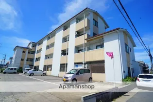 ナッシュエイ86の画像