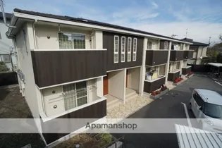 プリムローズの画像