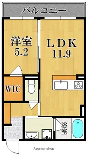 LENE CRICCA西大寺Ⅱ【1階】の間取り