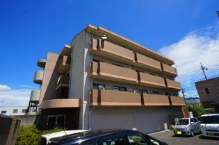 カーサ神殿の画像