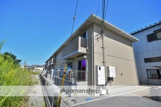 シャロー パディの画像