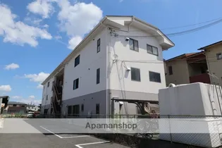 WEST PADDYの画像