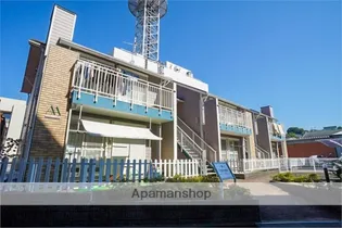 エーデルワイスの画像