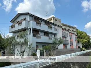 SEDICI VISTEの画像